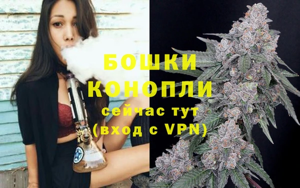 амф Аркадак