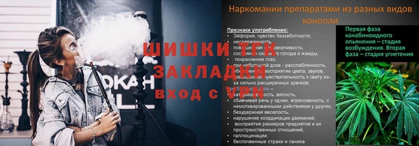 амф Аркадак