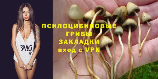 амф Аркадак